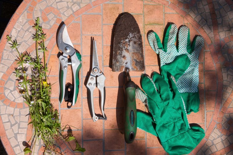 Ein Gartenschrank bietet Platz fuer Zubehoer