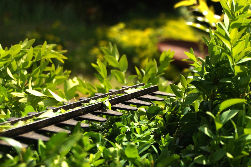 Akku-Heckenschere im Test