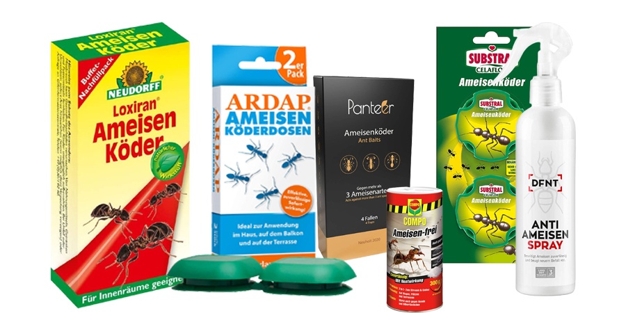 Ameisenfalle Ameisenköder Ameisenbuffet Ameisen bekämpfen