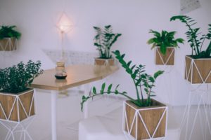 blumenkuebel-test-vergleich-kaufberatung