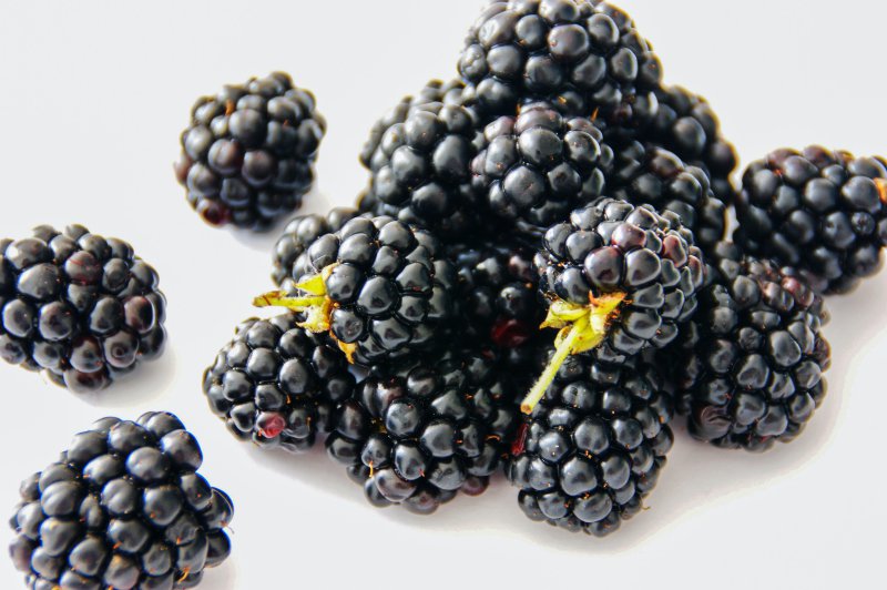 Tipps für den Anbau und die Pflege von Brombeeren
