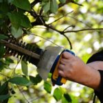 Eine Hecke wird mit einer Heckenschere in Form gebracht