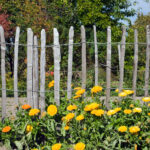 Gartenzaun mit Blumen